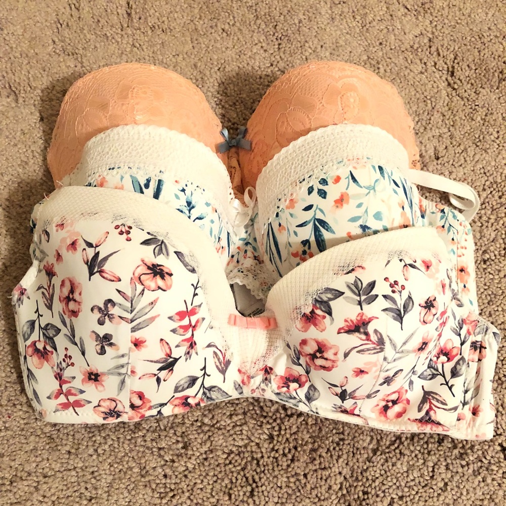 3 36B bras bundle